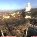 09_05-nest.jpg