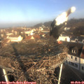 09_15-nest.jpg