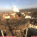 09_25-nest.jpg