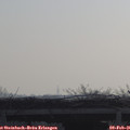 09_35-mast.jpg