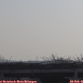 09_40-mast.jpg