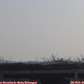 09_45-mast.jpg