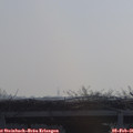 09_50-mast.jpg