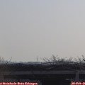 09_55-mast.jpg
