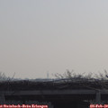 10_00-mast.jpg