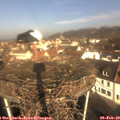10_05-nest.jpg