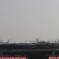 10_10-mast.jpg