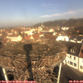10_10-nest.jpg