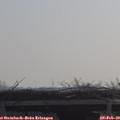 10_15-mast.jpg