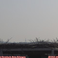 10_20-mast.jpg