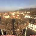10_20-nest.jpg