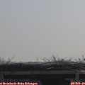 10_25-mast.jpg