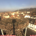 10_25-nest.jpg