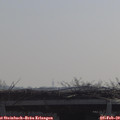 10_30-mast.jpg