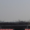 10_40-mast.jpg