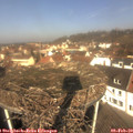 11_10-nest.jpg