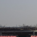 11_20-mast.jpg