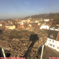 11_20-nest.jpg