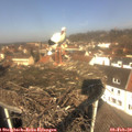 11_55-nest.jpg