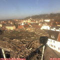 12_05-nest.jpg