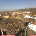 12_10-nest.jpg