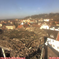 12_25-nest.jpg