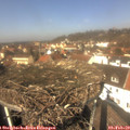 12_30-nest.jpg