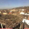 12_35-nest.jpg