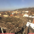 12_40-nest.jpg