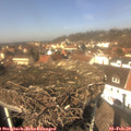12_55-nest.jpg