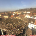13_00-nest.jpg
