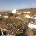 13_10-nest.jpg