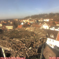 13_15-nest.jpg