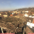 13_25-nest.jpg