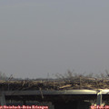 13_30-mast.jpg