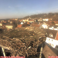 13_30-nest.jpg