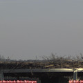 13_35-mast.jpg