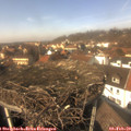 13_35-nest.jpg