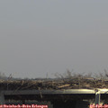 13_40-mast.jpg