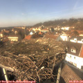 13_40-nest.jpg