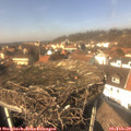 13_45-nest.jpg