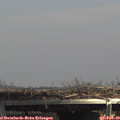13_55-mast.jpg