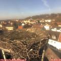 13_55-nest.jpg