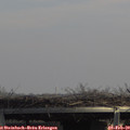 14_00-mast.jpg