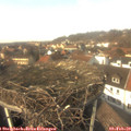 14_00-nest.jpg