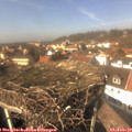14_05-nest.jpg
