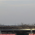 14_10-mast.jpg