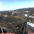 14_10-nest.jpg