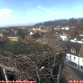 14_15-nest.jpg