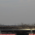 14_20-mast.jpg